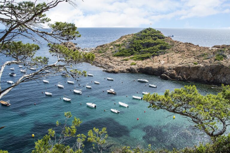 sea, port, boats-7358668.jpg